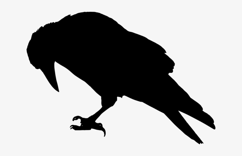 Detail Silhouette Raven Clipart Nomer 4