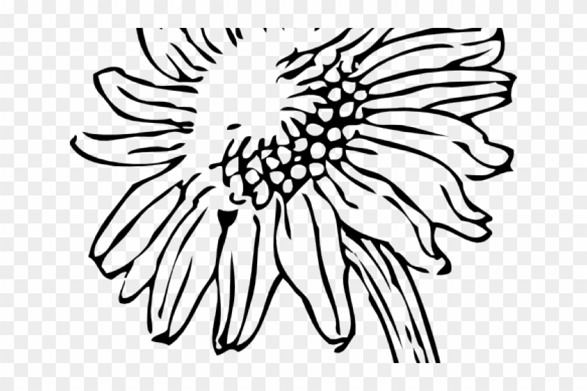 Detail Silhouette Sunflower Clipart Black And White Nomer 32