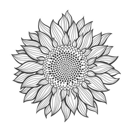 Detail Silhouette Sunflower Clipart Black And White Nomer 4