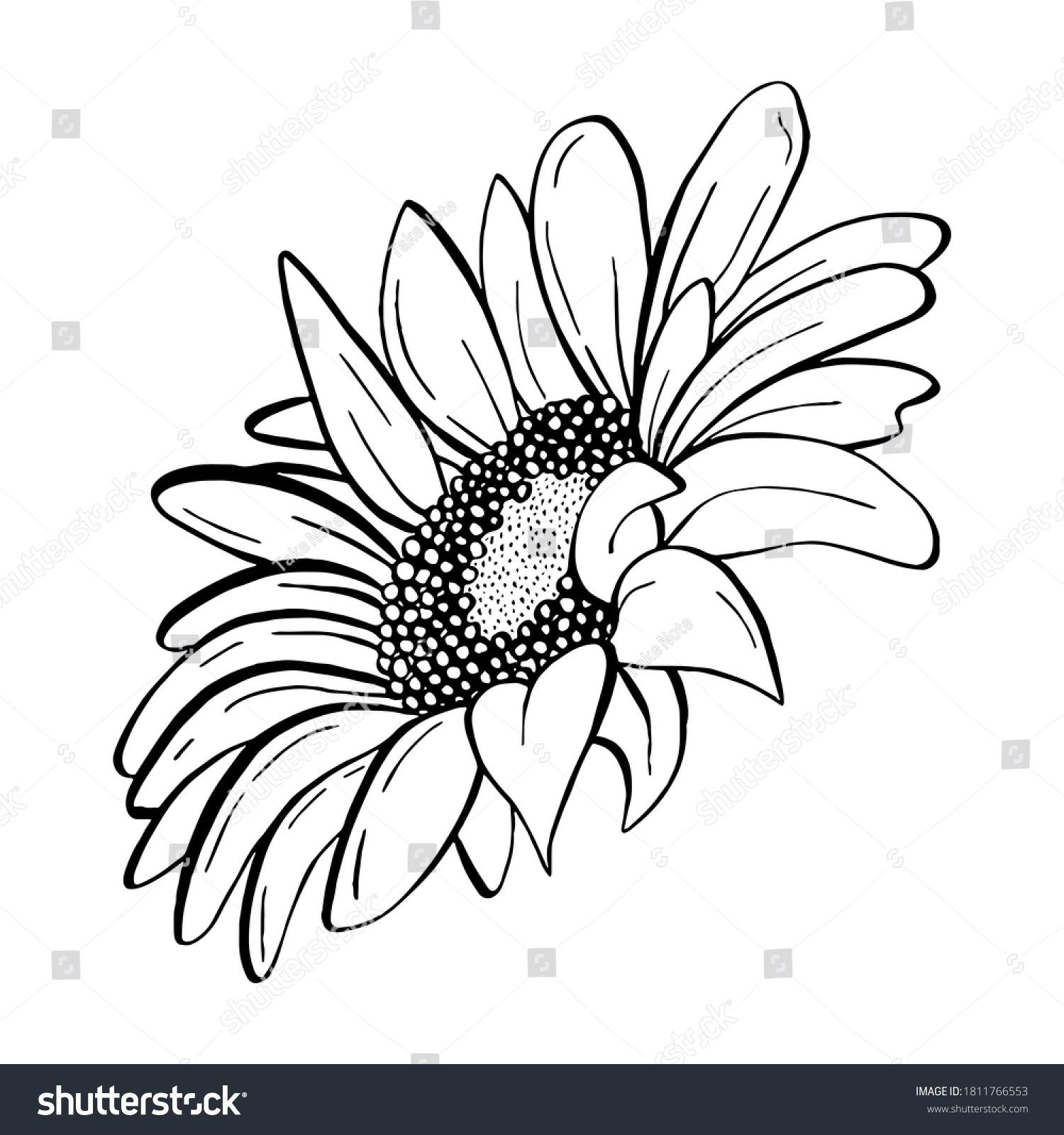 Detail Silhouette Sunflower Clipart Black And White Nomer 6