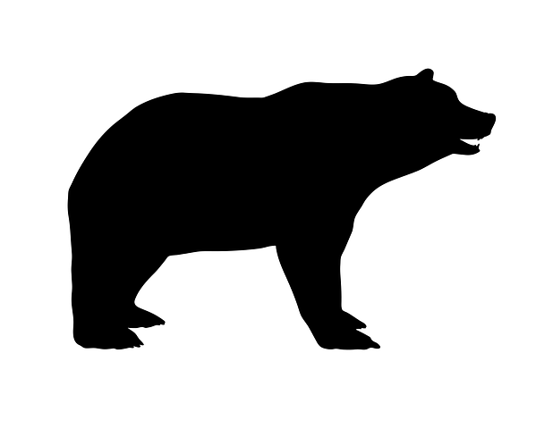 Detail Siluet Beruang Nomer 29