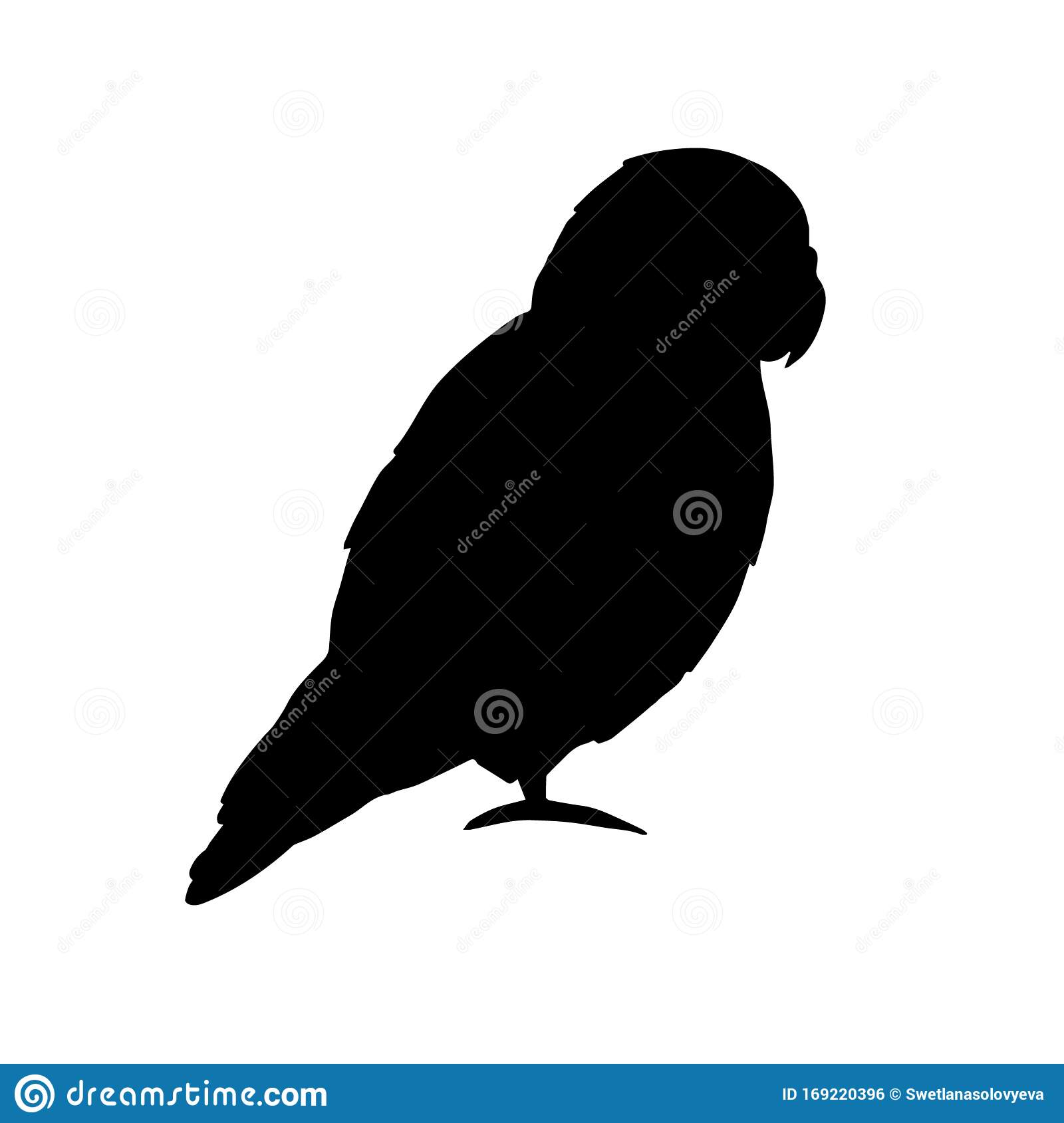 Detail Siluet Burung Lovebird Nomer 39