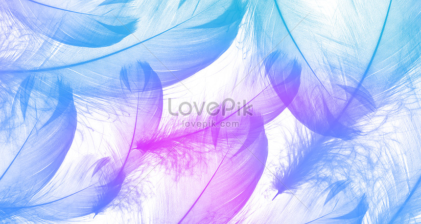 Detail Warna Latar Belakang Nomer 8