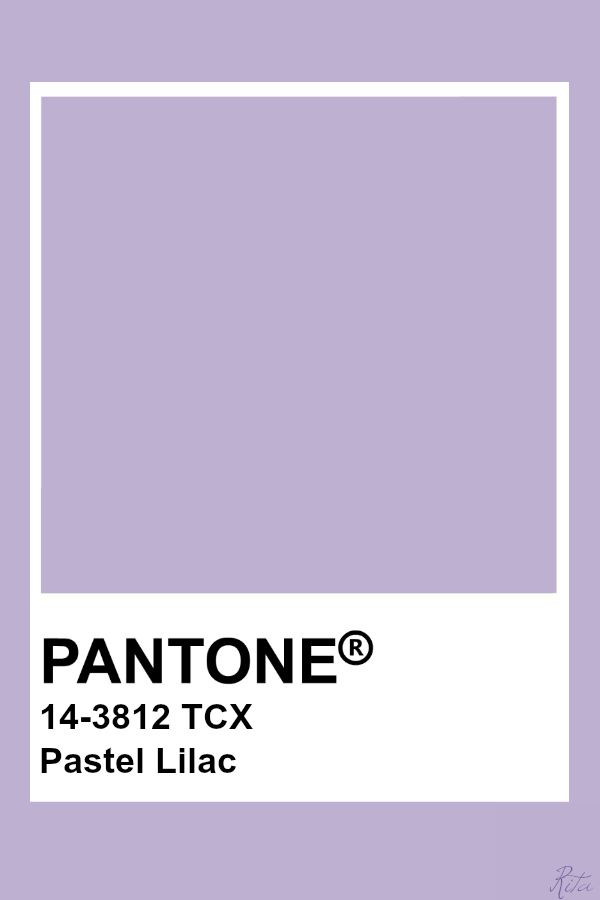 Detail Warna Lilac Dan Lavender Nomer 17