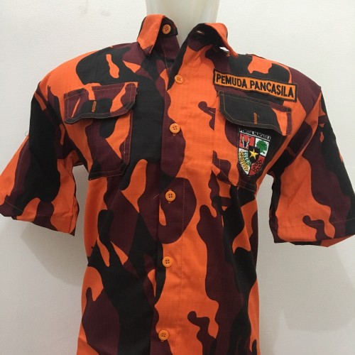 Detail Warna Loreng Pemuda Pancasila Nomer 21