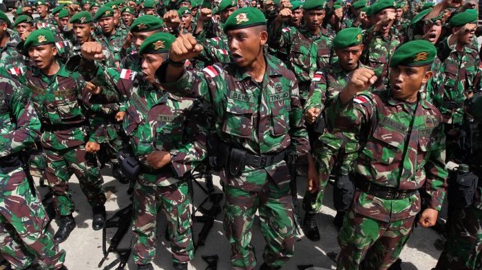 Detail Warna Loreng Tni Nomer 21