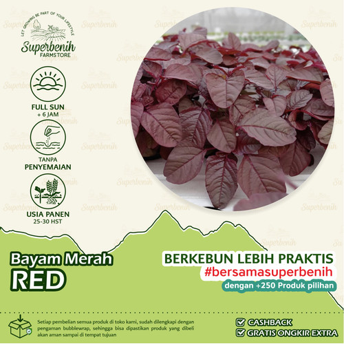 Detail Warna Merah Gelap Nomer 36