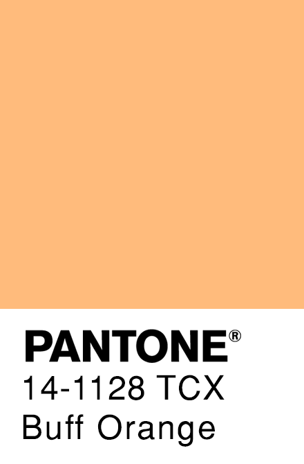 Detail Warna Orange Pastel Nomer 2