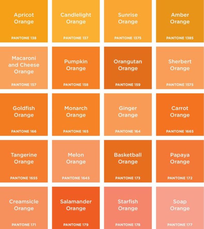 Detail Warna Orange Pastel Nomer 17