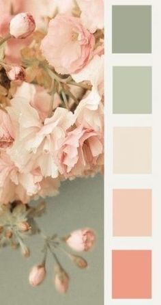 Detail Warna Pastel Peach Nomer 15