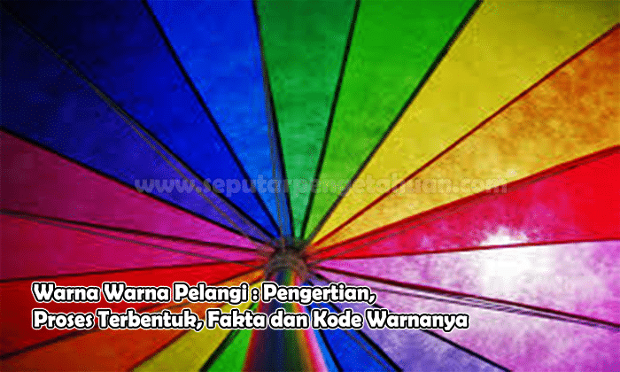 Detail Warna Pelangi Nila Nomer 16