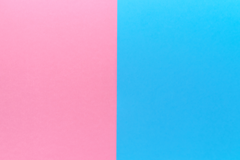 Detail Warna Pink Dan Biru Nomer 5