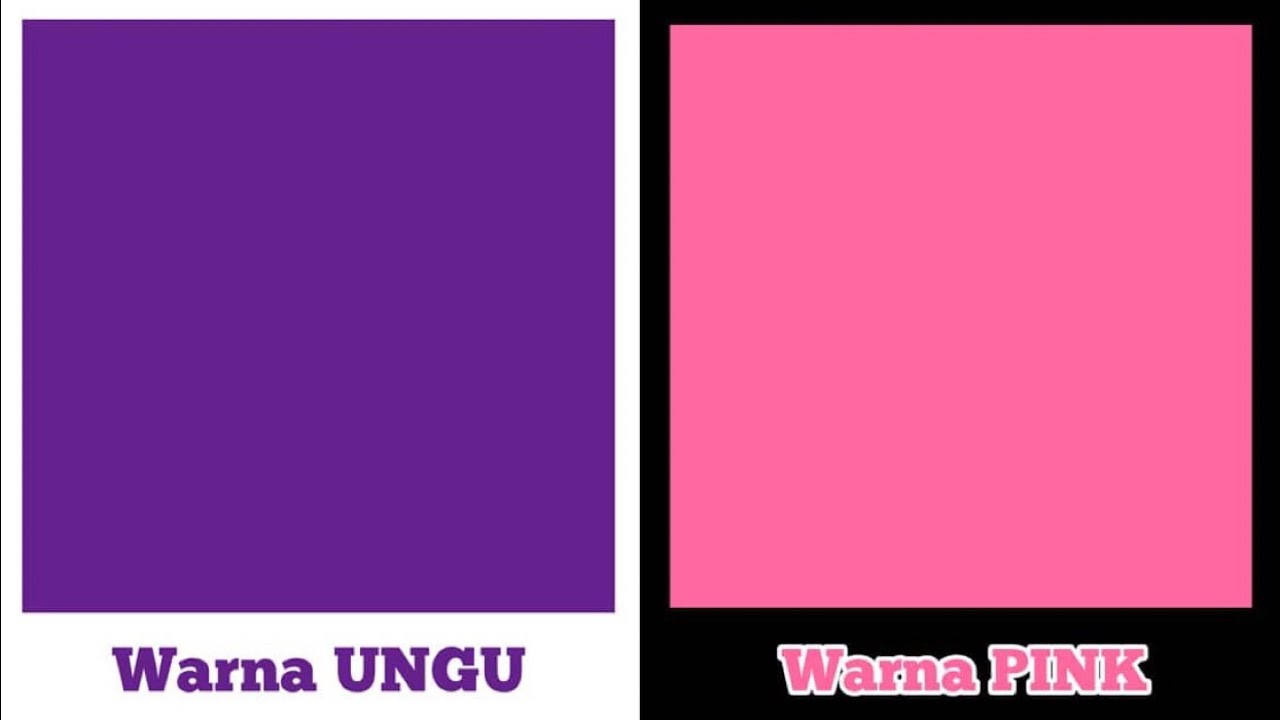 Warna Pink Ungu - KibrisPDR