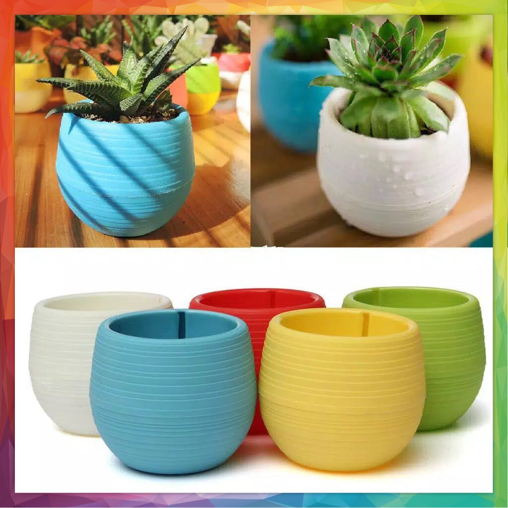 Detail Warna Pot Bunga Nomer 11