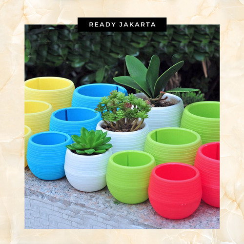 Detail Warna Pot Bunga Nomer 12