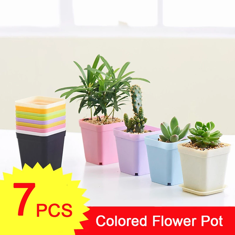Detail Warna Pot Bunga Nomer 6
