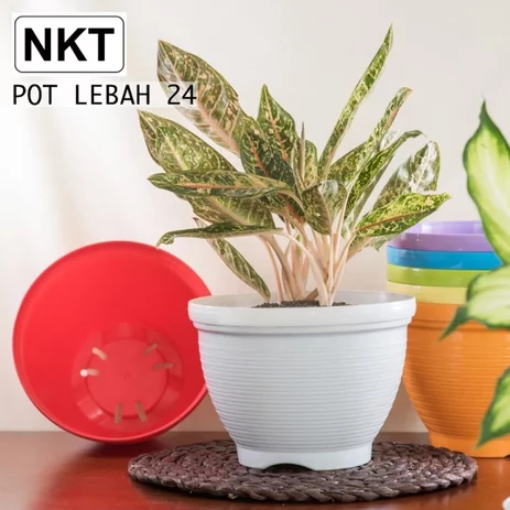 Detail Warna Pot Bunga Nomer 47