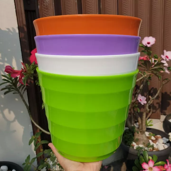 Detail Warna Pot Bunga Yang Bagus Nomer 27