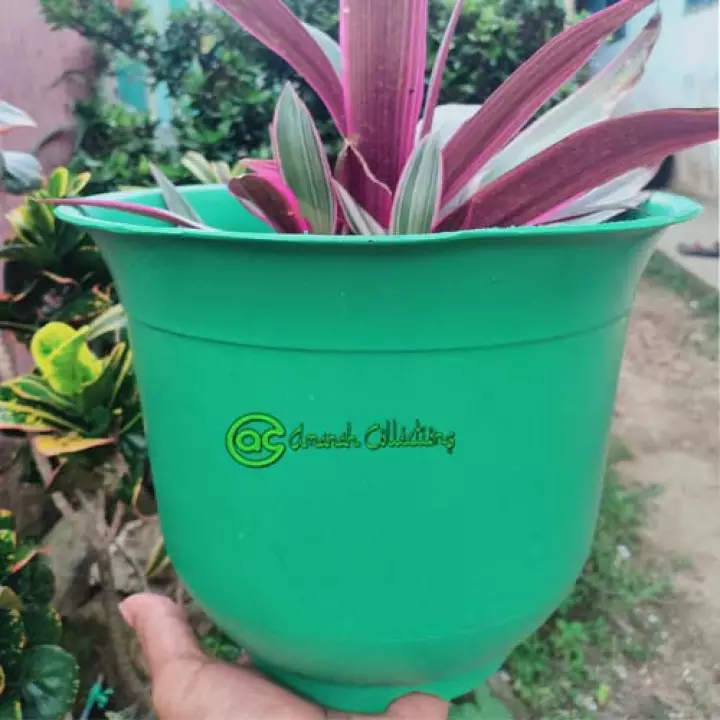 Detail Warna Pot Bunga Yang Cantik Nomer 46