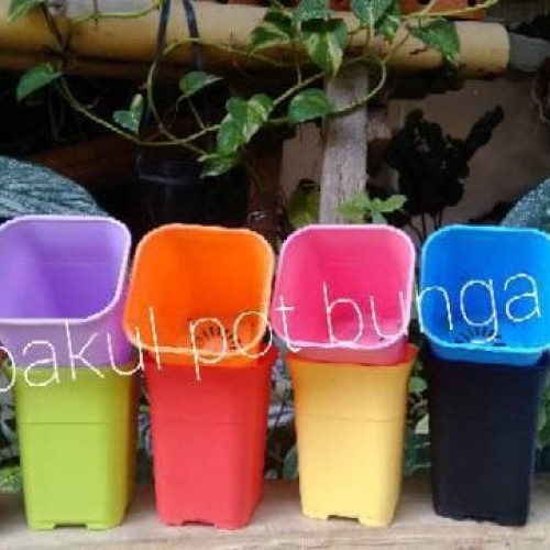 Detail Warna Pot Yang Bagus Nomer 32