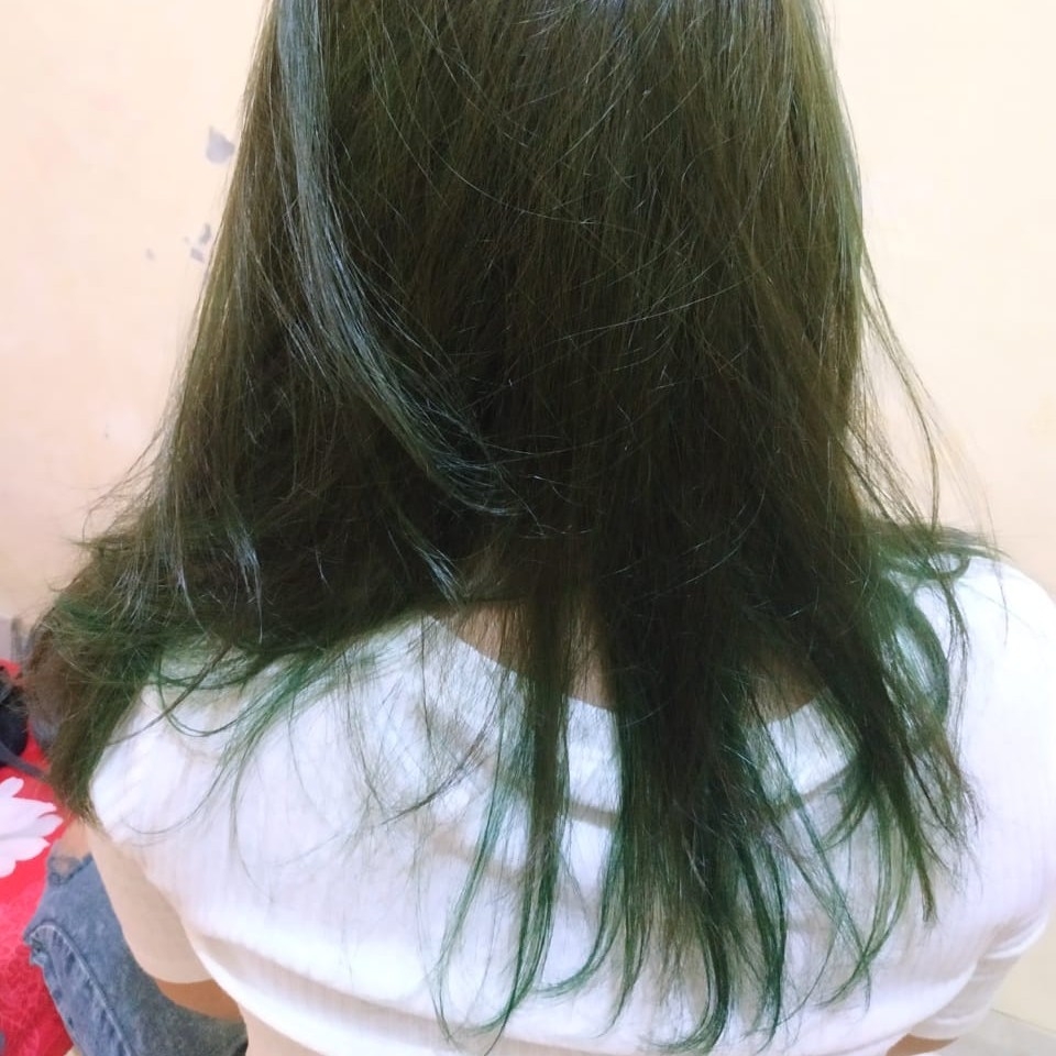 Detail Warna Rambut Coklat Hijau Nomer 18