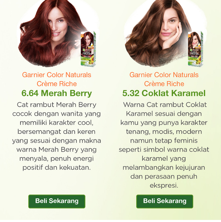 Detail Warna Rambut Coklat Karamel Nomer 28