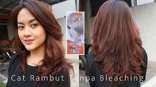 Detail Warna Rambut Coklat Kopi Matrix Nomer 17