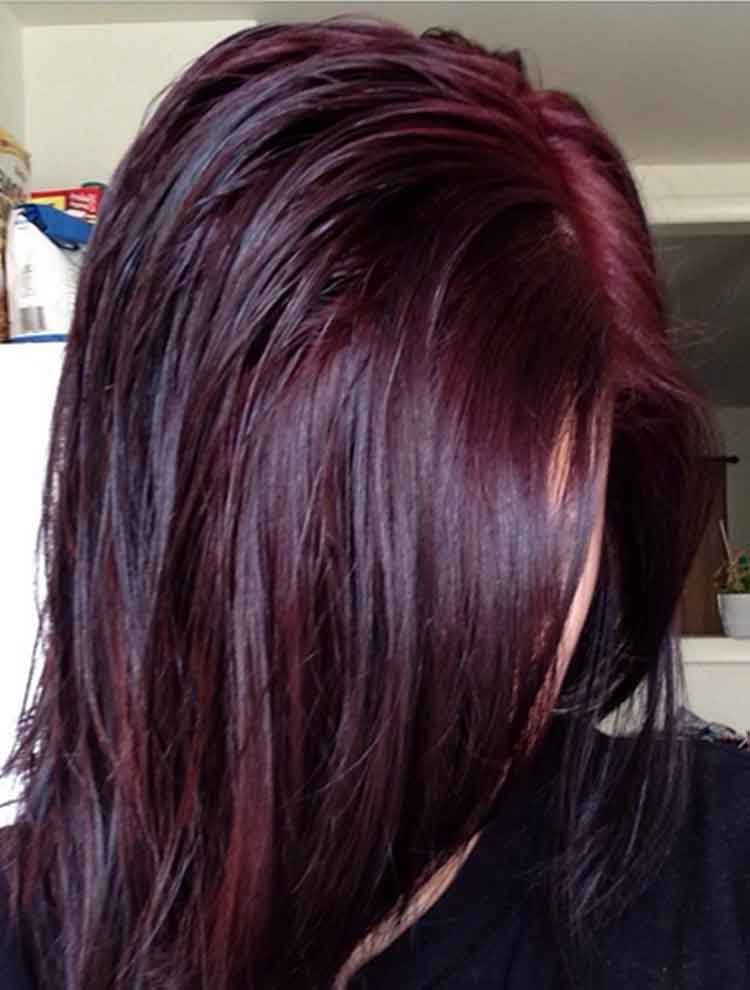 Detail Warna Rambut Merah Marun Gelap Nomer 24