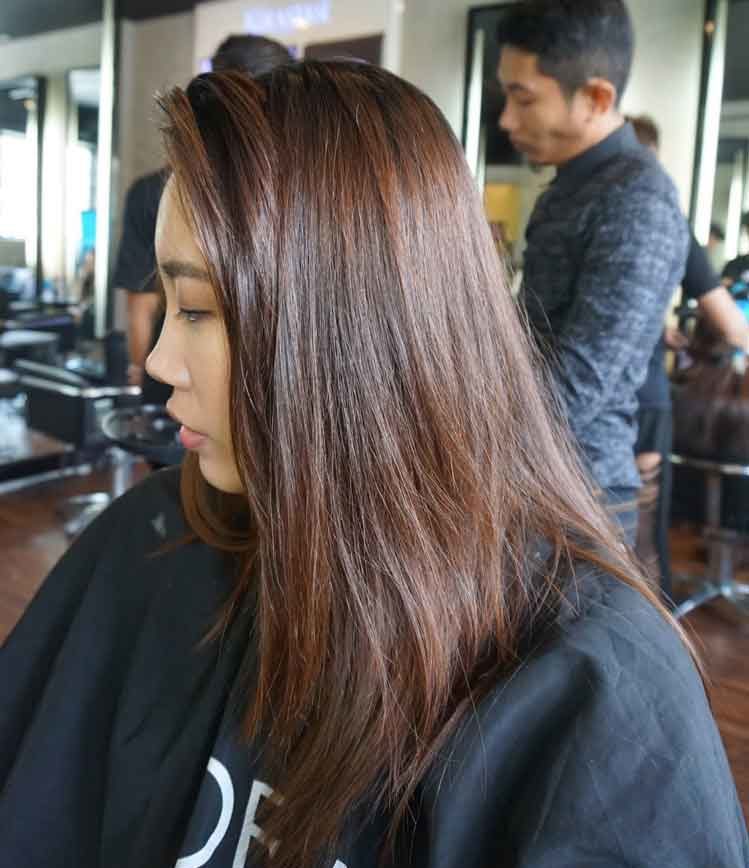 Detail Warna Rambut Simple Elegant Nomer 14