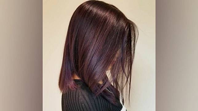 Detail Warna Rambut Ungu Coklat Nomer 14