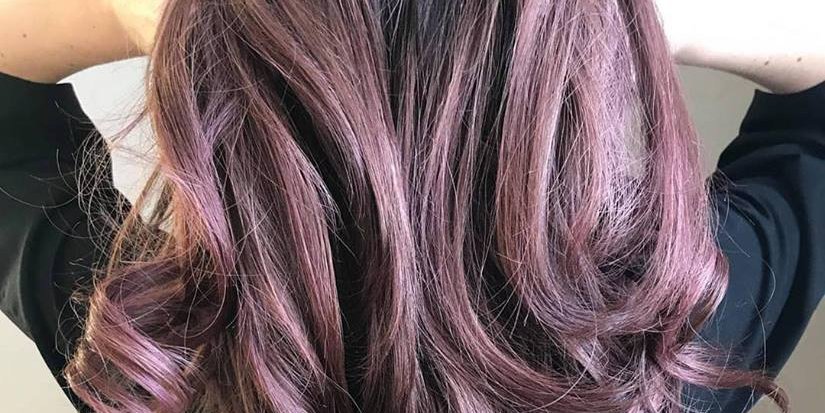 Detail Warna Rambut Ungu Coklat Nomer 3