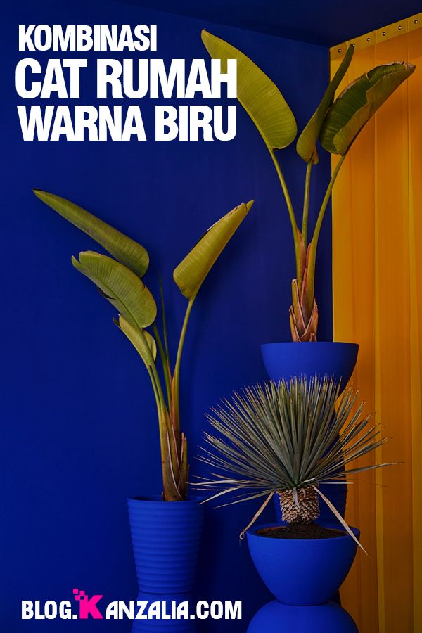 Detail Warna Rumah Biru Langit Nomer 41