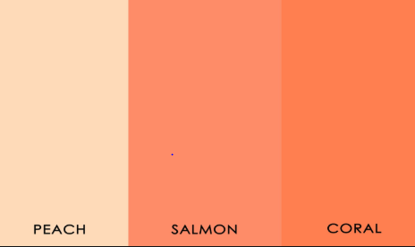 Warna Salmon Muda - KibrisPDR