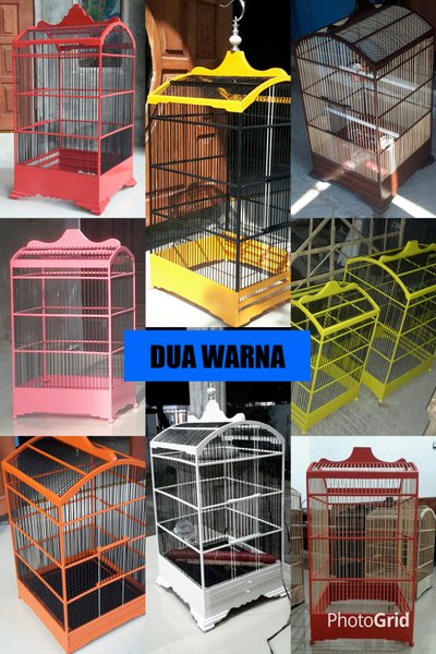 Detail Warna Sangkar Burung Keren Nomer 19