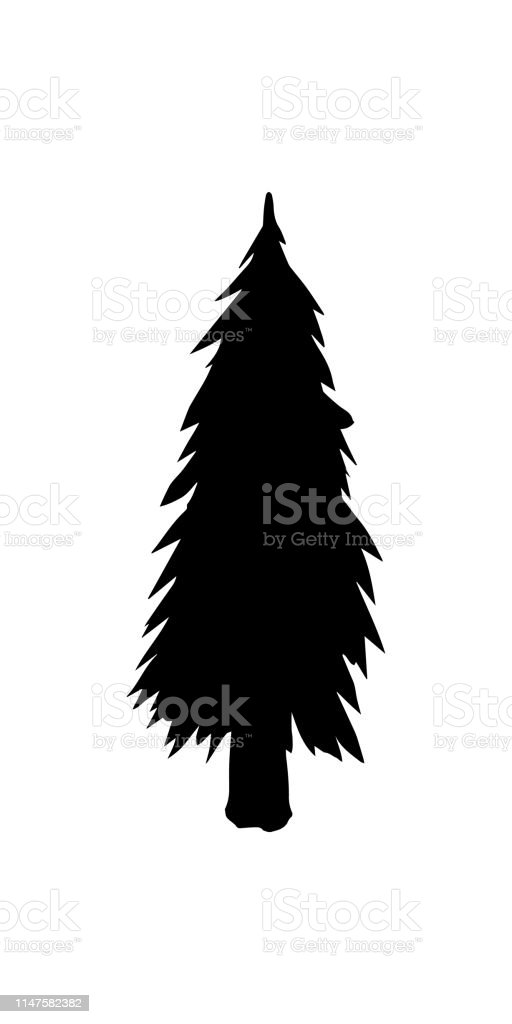 Detail Siluet Pohon Pinus Nomer 33