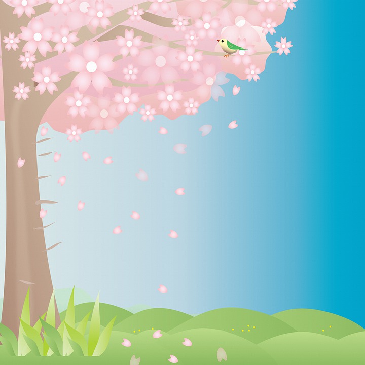 Detail Siluet Pohon Sakura Nomer 27