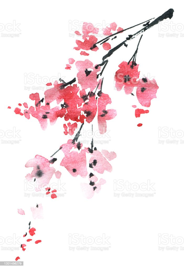 Detail Siluet Pohon Sakura Nomer 31