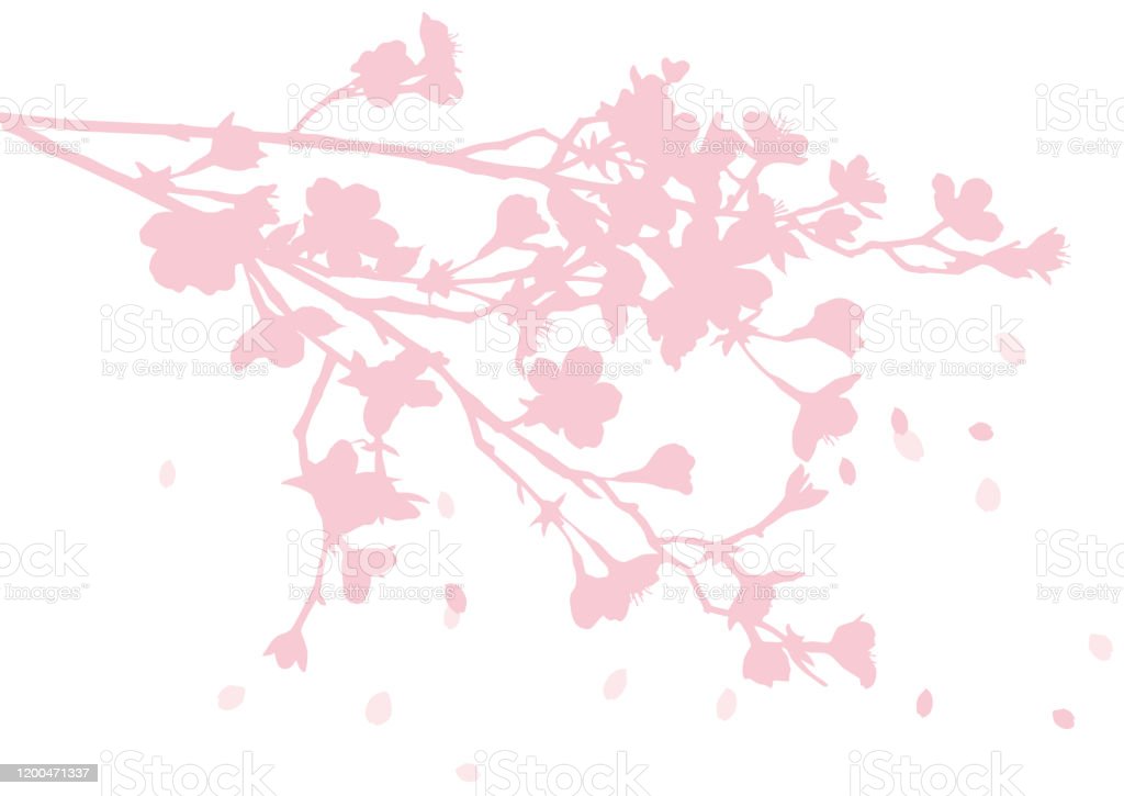 Detail Siluet Pohon Sakura Nomer 40