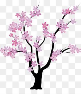 Detail Siluet Pohon Sakura Nomer 56
