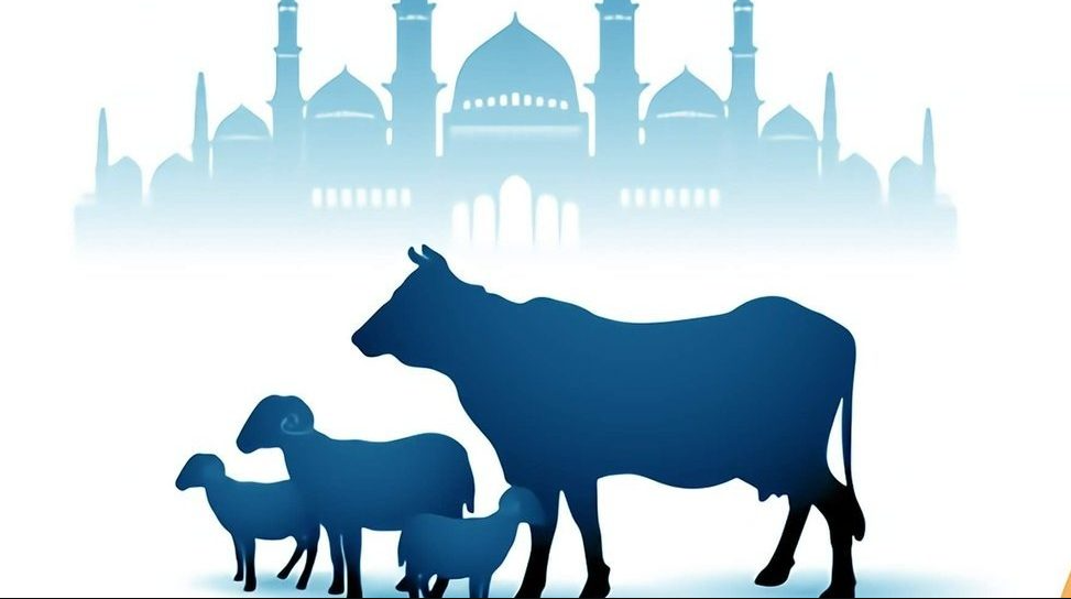 Detail Siluet Sapi Dan Kambing Nomer 15