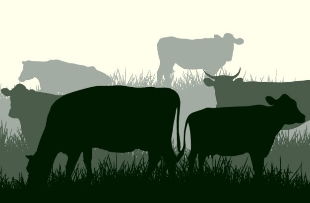 Detail Siluet Sapi Dan Kambing Nomer 20
