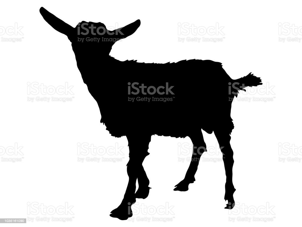 Detail Siluet Sapi Dan Kambing Nomer 24