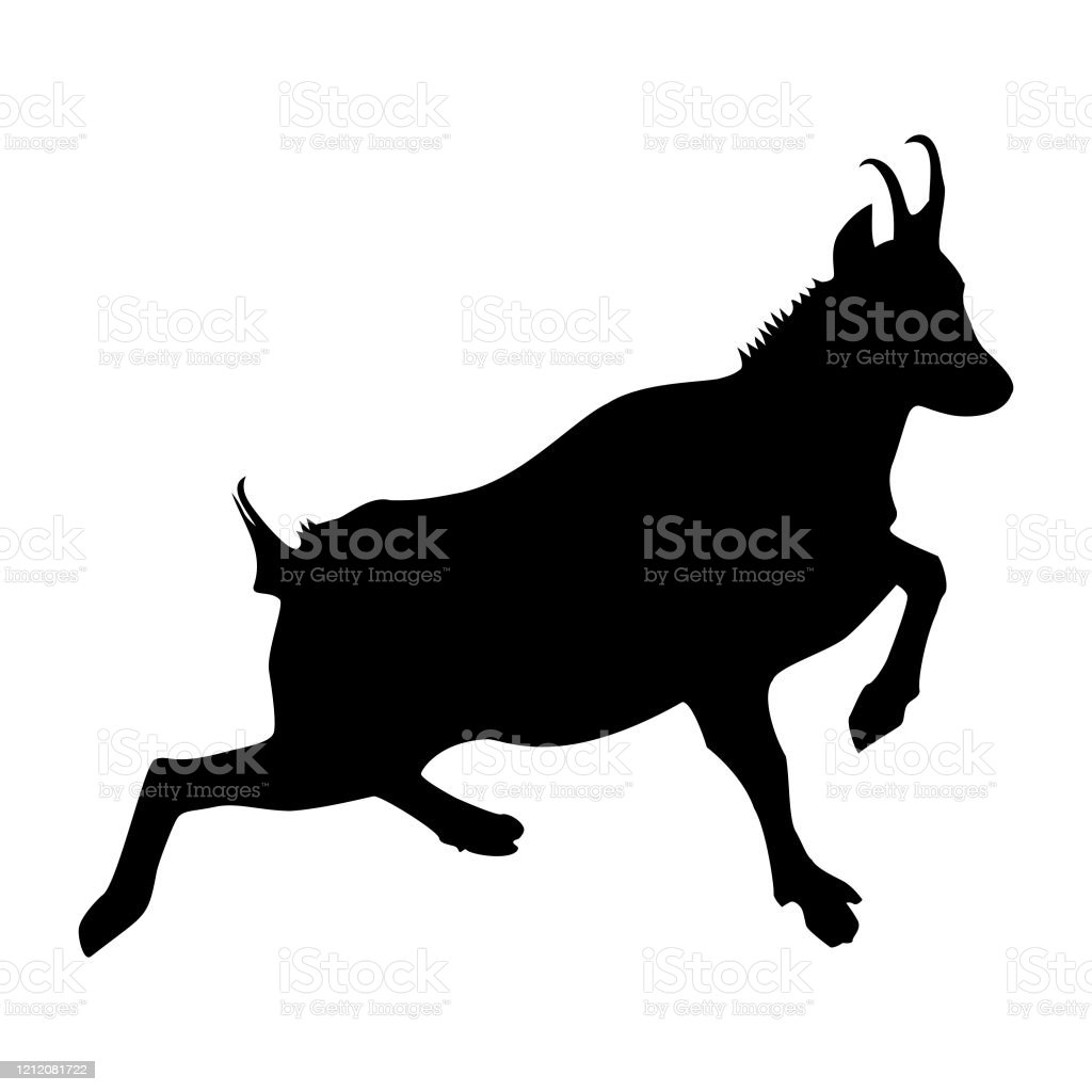 Detail Siluet Sapi Dan Kambing Nomer 27
