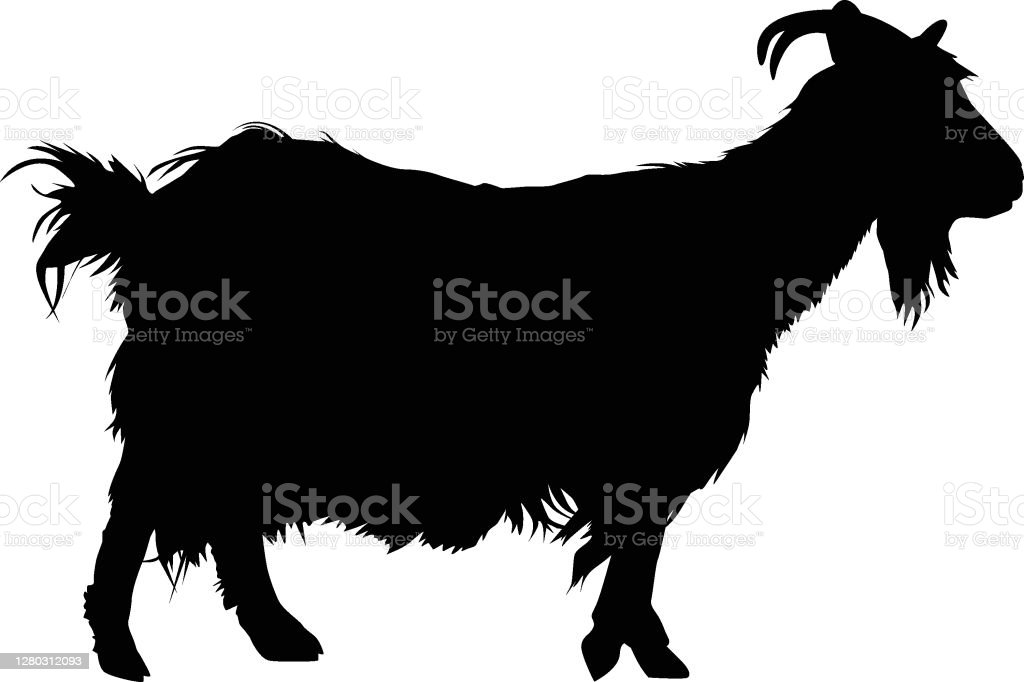 Detail Siluet Sapi Dan Kambing Nomer 28
