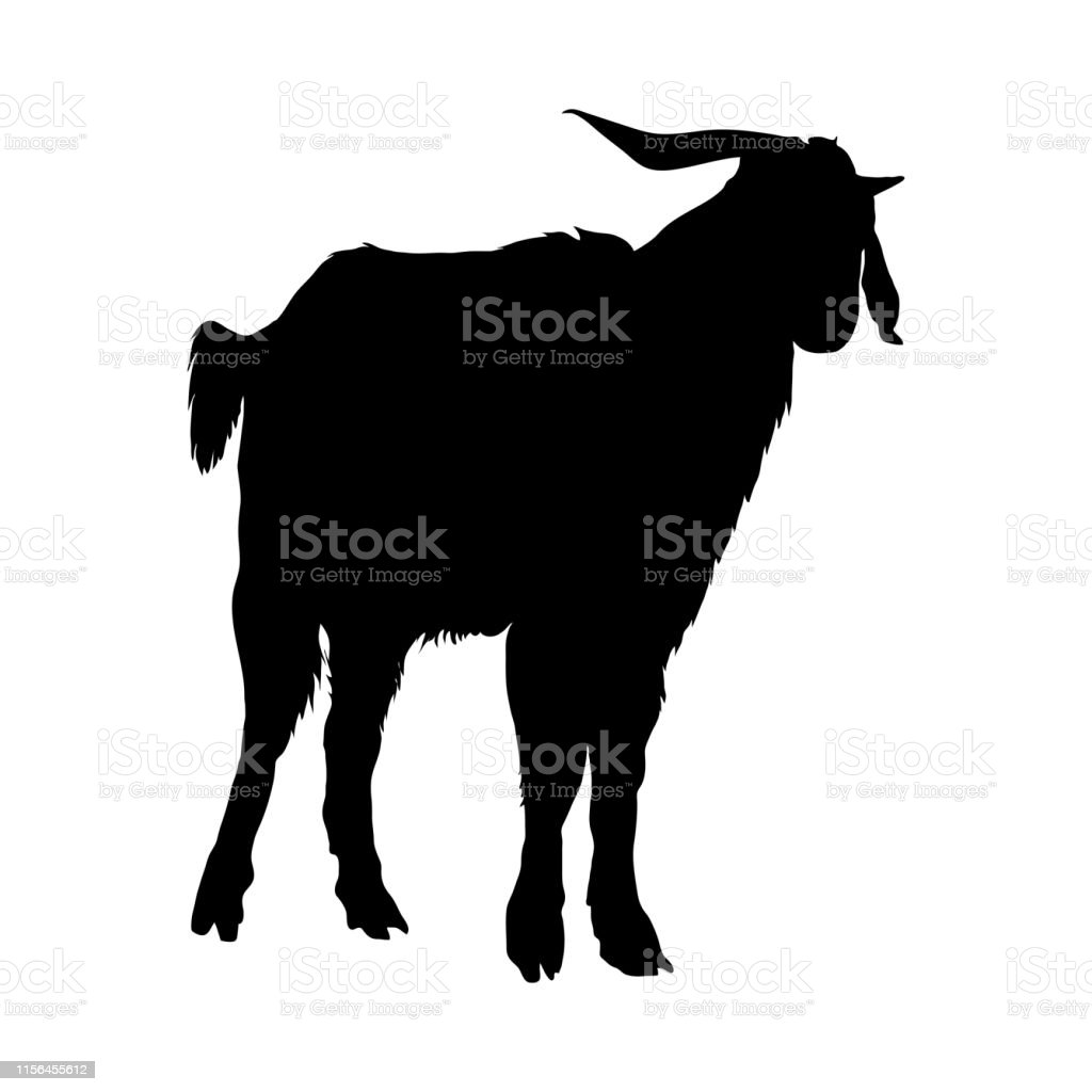 Detail Siluet Sapi Dan Kambing Nomer 29