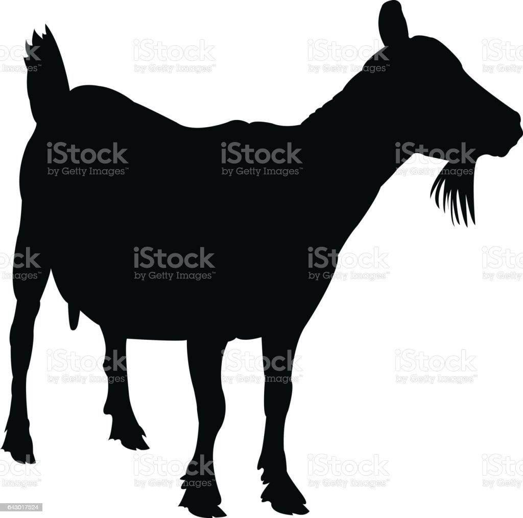 Detail Siluet Sapi Dan Kambing Nomer 30