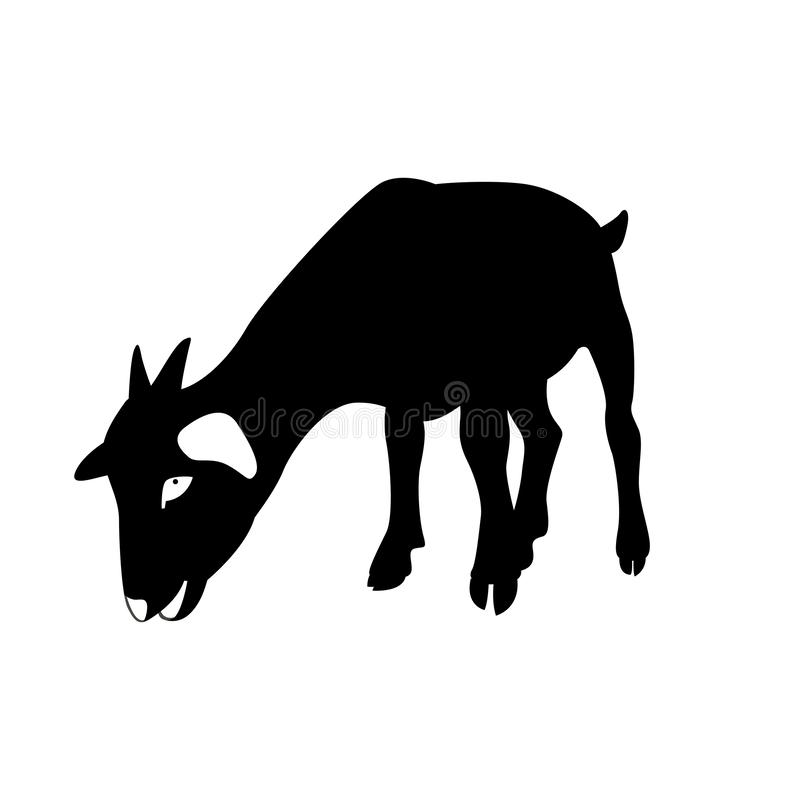 Detail Siluet Sapi Dan Kambing Nomer 36