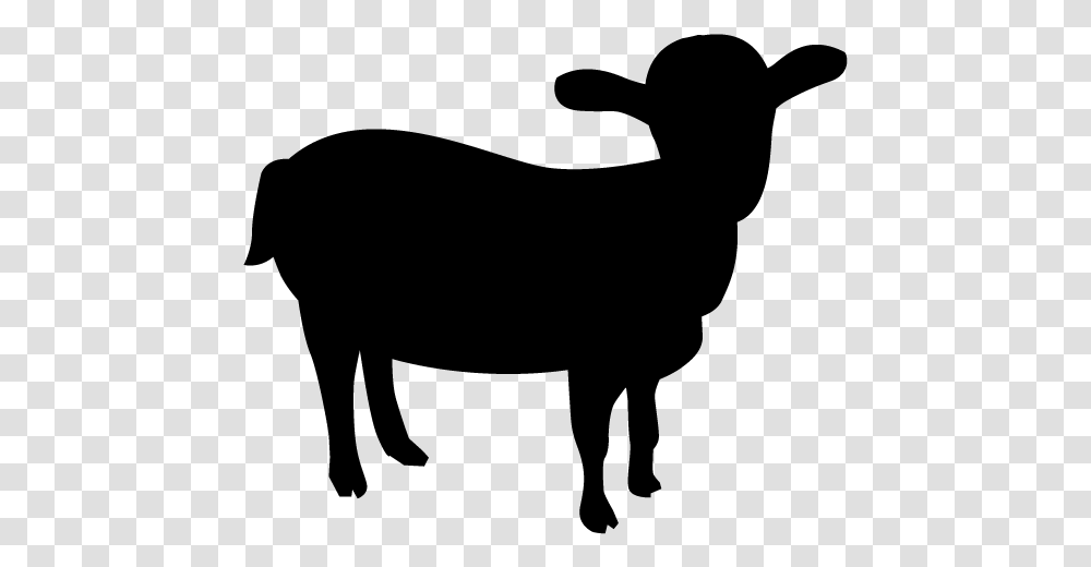Detail Siluet Sapi Dan Kambing Nomer 39