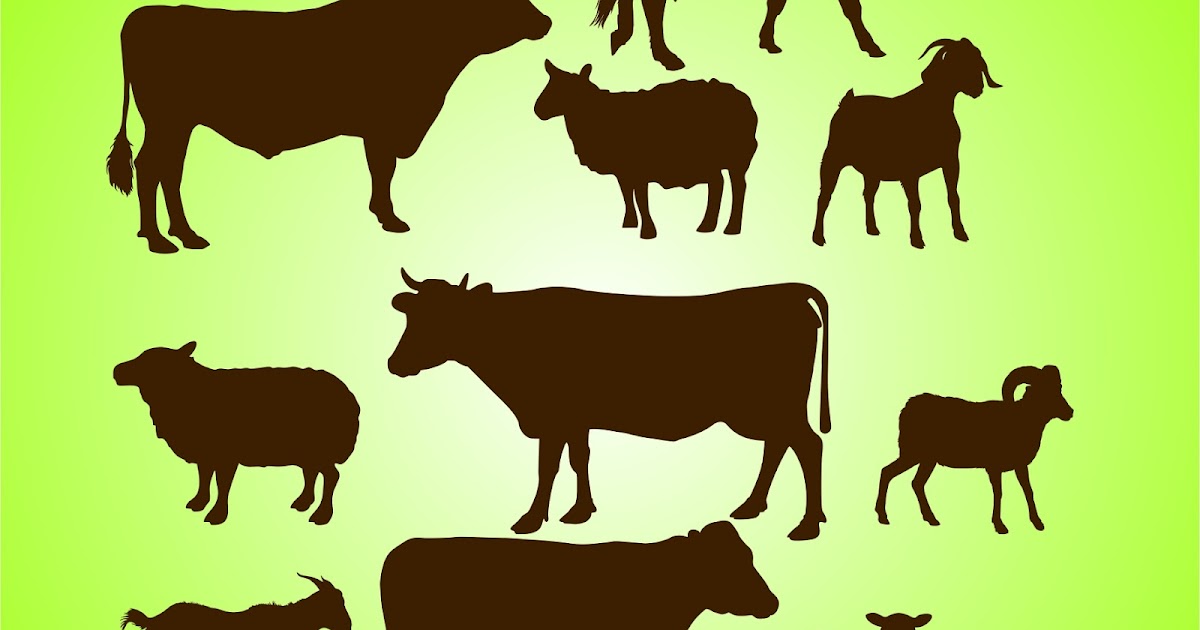 Detail Siluet Sapi Dan Kambing Nomer 42