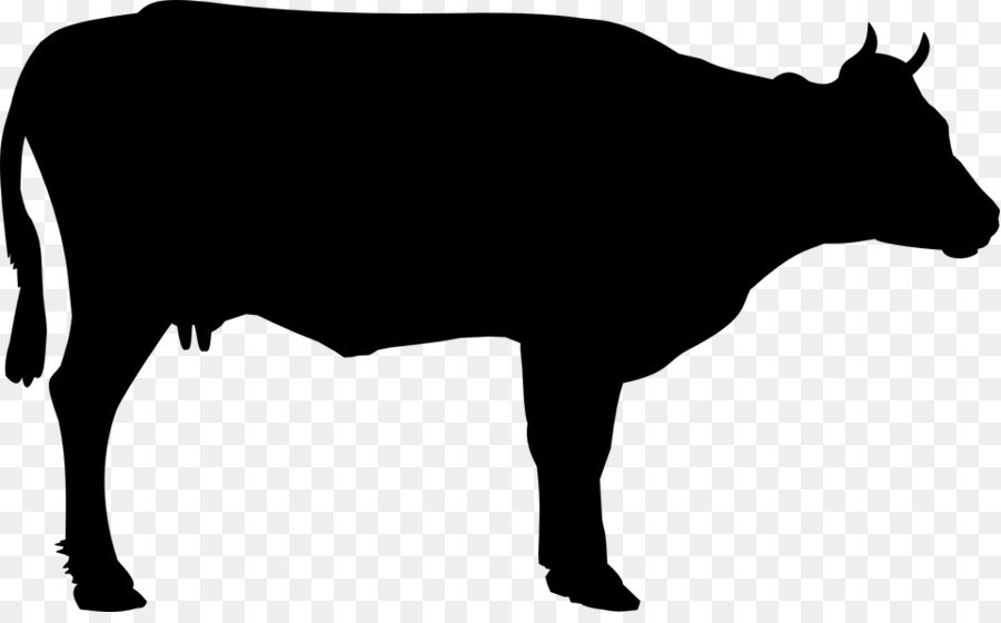 Detail Siluet Sapi Dan Kambing Nomer 9